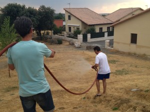 IMG_2639