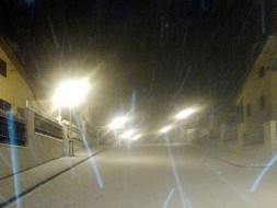 IMG_8067