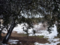 DSC_0015