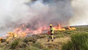 Prevención de incendios forestales