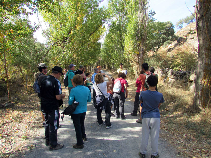 Grupo de gente en el campo